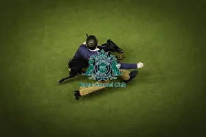 Arena Prints: Crufts 2019 - Day Two, NEC, UK - 8 Mar 2019