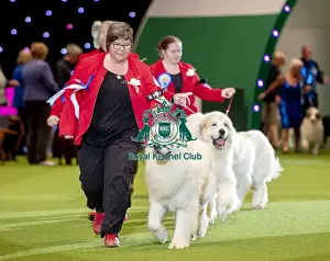 Breeders Competition Prints: Crufts 2019 - Day Two, NEC, UK - 8 Mar 2019