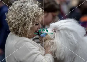 Crufts 2019 - Day Two, NEC, UK - 8 Mar 2019