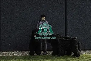 Crufts 2019 - Day Two, NEC, UK - 8 Mar 2019