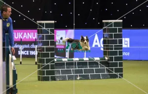 Crufts 2019 - Day Two, NEC, UK - 8 Mar 2019