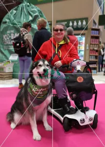 Crufts 2019 - Day Two, NEC, UK - 8 Mar 2019