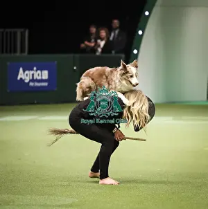 Heelwork To Music Prints: Crufts 2019 - Day Two, NEC, UK - 8 Mar 2019