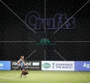 Crufts 2019 - Day Two, NEC, UK - 8 Mar 2019