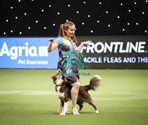 Crufts 2019 - Day Two, NEC, UK - 8 Mar 2019