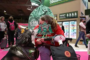 Alaskan Malamute Prints: Crufts 2019 - Day Two, NEC, UK - 8 Mar 2019