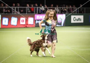 Crufts 2019 - Day Two, NEC, UK - 8 Mar 2019