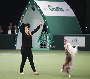Heelwork To Music Prints: Crufts 2019 - Day Two, NEC, UK - 8 Mar 2019