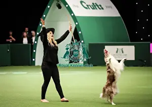 Heelwork To Music Prints: Crufts 2019 - Day Two, NEC, UK - 8 Mar 2019