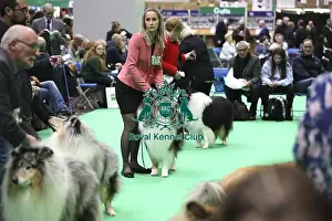 Crufts 2019 - Day Two, NEC, UK - 8 Mar 2019