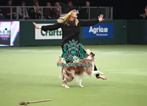 Heelwork To Music Prints: Crufts 2019 - Day Two, NEC, UK - 8 Mar 2019