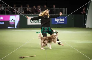 Crufts 2019 - Day Two, NEC, UK - 8 Mar 2019