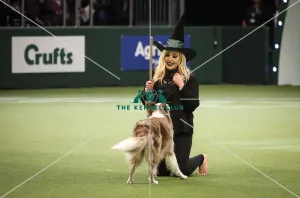 Crufts 2019 - Day Two, NEC, UK - 8 Mar 2019