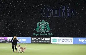 20190308 Prints: Crufts 2019 - Day Two, NEC, UK - 8 Mar 2019
