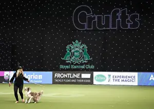 Heelwork To Music Prints: Crufts 2019 - Day Two, NEC, UK - 8 Mar 2019