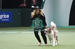 Heelwork To Music Prints: Crufts 2019 - Day Two, NEC, UK - 8 Mar 2019