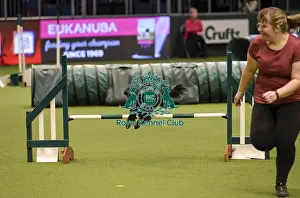 Crufts 2019 - Day Two, NEC, UK - 8 Mar 2019