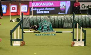 Jumping Prints: Crufts 2019 - Day Two, NEC, UK - 8 Mar 2019