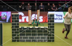 Crufts 2019 - Day Two, NEC, UK - 8 Mar 2019