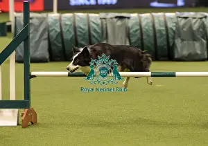 Jumping Prints: Crufts 2019 - Day Two, NEC, UK - 8 Mar 2019