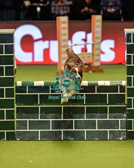 Jumping Prints: Crufts 2019 - Day Two, NEC, UK - 8 Mar 2019