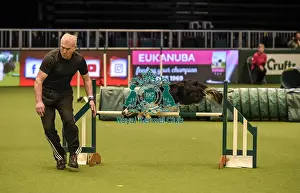 Jumping Prints: Crufts 2019 - Day Two, NEC, UK - 8 Mar 2019
