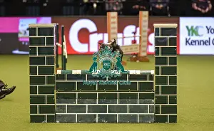 Jumping Prints: Crufts 2019 - Day Two, NEC, UK - 8 Mar 2019