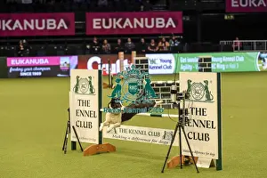 Jumping Prints: Crufts 2019 - Day Two, NEC, UK - 8 Mar 2019