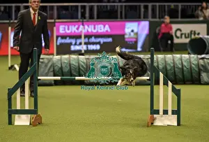 Jumping Prints: Crufts 2019 - Day Two, NEC, UK - 8 Mar 2019