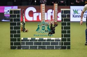 Jumping Prints: Crufts 2019 - Day Two, NEC, UK - 8 Mar 2019