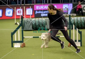 Crufts 2019 - Day Two, NEC, UK - 8 Mar 2019