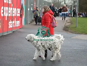 20190308 Prints: Crufts 2019 - Day Two, NEC, UK - 8 Mar 2019
