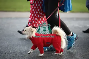 20190308 Prints: Crufts 2019 - Day Two, NEC, UK - 8 Mar 2019