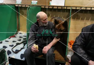 Crufts 2019 - Day Two, NEC, UK - 8 Mar 2019