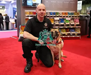 Crufts 2019 - Day Two, NEC, UK - 8 Mar 2019