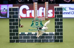 Jumping Prints: Crufts 2019 - Day Two, NEC, UK - 8 Mar 2019