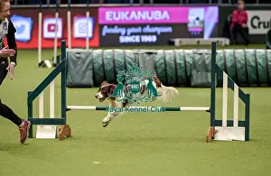Jumping Prints: Crufts 2019 - Day Two, NEC, UK - 8 Mar 2019