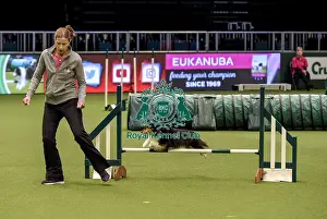 Jumping Prints: Crufts 2019 - Day Two, NEC, UK - 8 Mar 2019