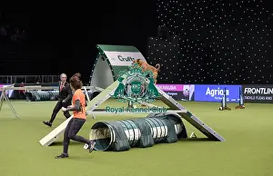 Crufts 2019 - Day Two, NEC, UK - 8 Mar 2019