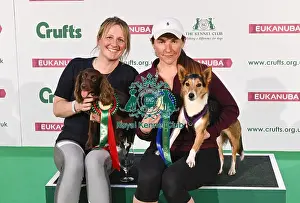 20190308 Prints: Crufts 2019 - Day Two, NEC, UK - 8 Mar 2019