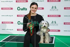 Crufts 2019 - Day Two, NEC, UK - 8 Mar 2019