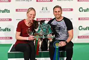 20190308 Prints: Crufts 2019 - Day Two, NEC, UK - 8 Mar 2019