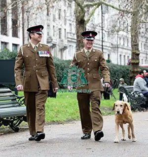 Crufts 2019 - Friends for Life award, London, UK - 5 Feb 2019