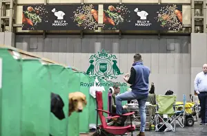 Crufts 2019 - Sponsors