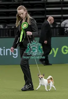Crufts 2022