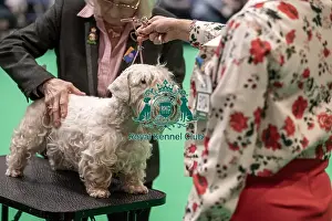 Crufts 2022