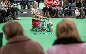 Crufts 2022
