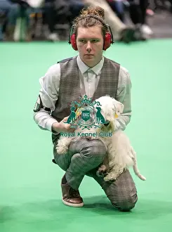 Crufts 2022
