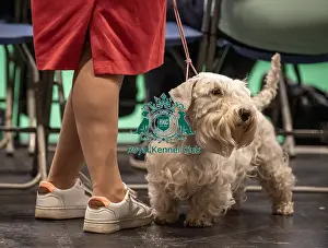 Crufts 2022