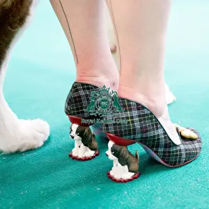 Crufts 2022
